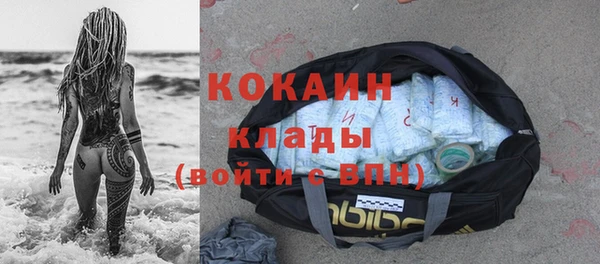 дживик Баксан