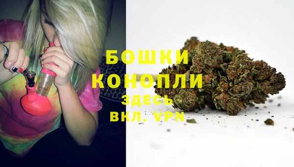 дживик Баксан